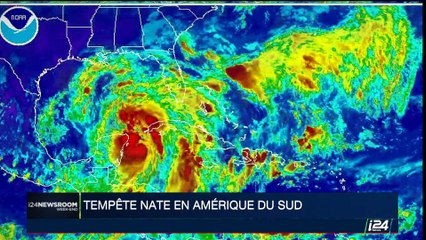 La tête de la journaliste suédoise Kim Wall retrouvée