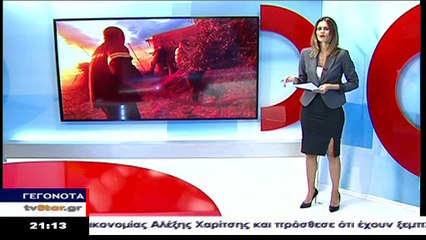 Διοικητής ΠΥ Θήβας Γ.Οικονόμου για την πυρκαγιά στον Πρόδρομο