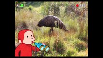 Curious George: Zoo Animals - The Outback - Best Apps for Kids | Educational