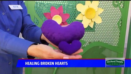 Woman Delivers Handmade Hearts to Families Who Have Lost a Child