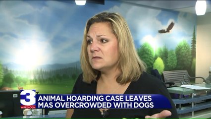 Memphis Shelter Overcrowded After Dozens of Dogs Rescued From Hoarder`s Home