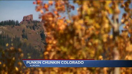 Punkin Chunkin: People All Across the Country Flock to Colorado to Launch Pumpkins