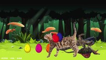 Bad cat crying learn colors with GIANT Dinosaur eggs - Finger Family Song Collection