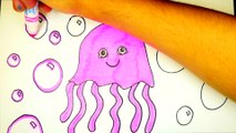 How To Draw And Color A Jelly Fish   Ocean Animal Coloring Page For Kids