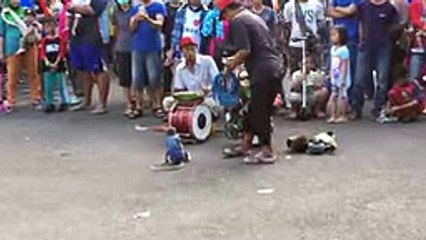 Walking street monkey show Surabaya