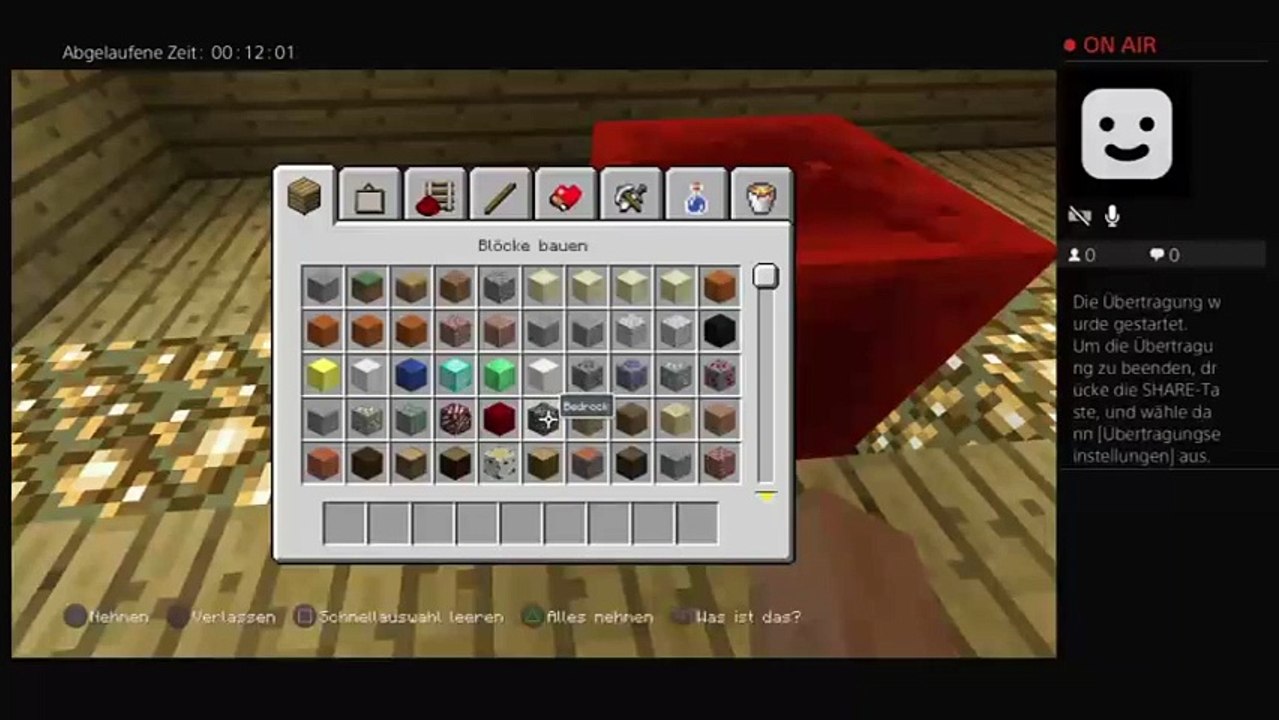 Minecraft (21)