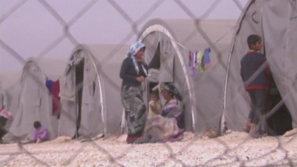 "바늘구멍 통과보다 어려운 난민 신청"...1.8%만 인정 / YTN