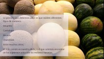 Maria Eugenia Baptista Zacarías Beneficios del melón para tu salud y bienestar