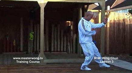 60 Wing chun lessons, by Michael Wong Lessons, lesson 003