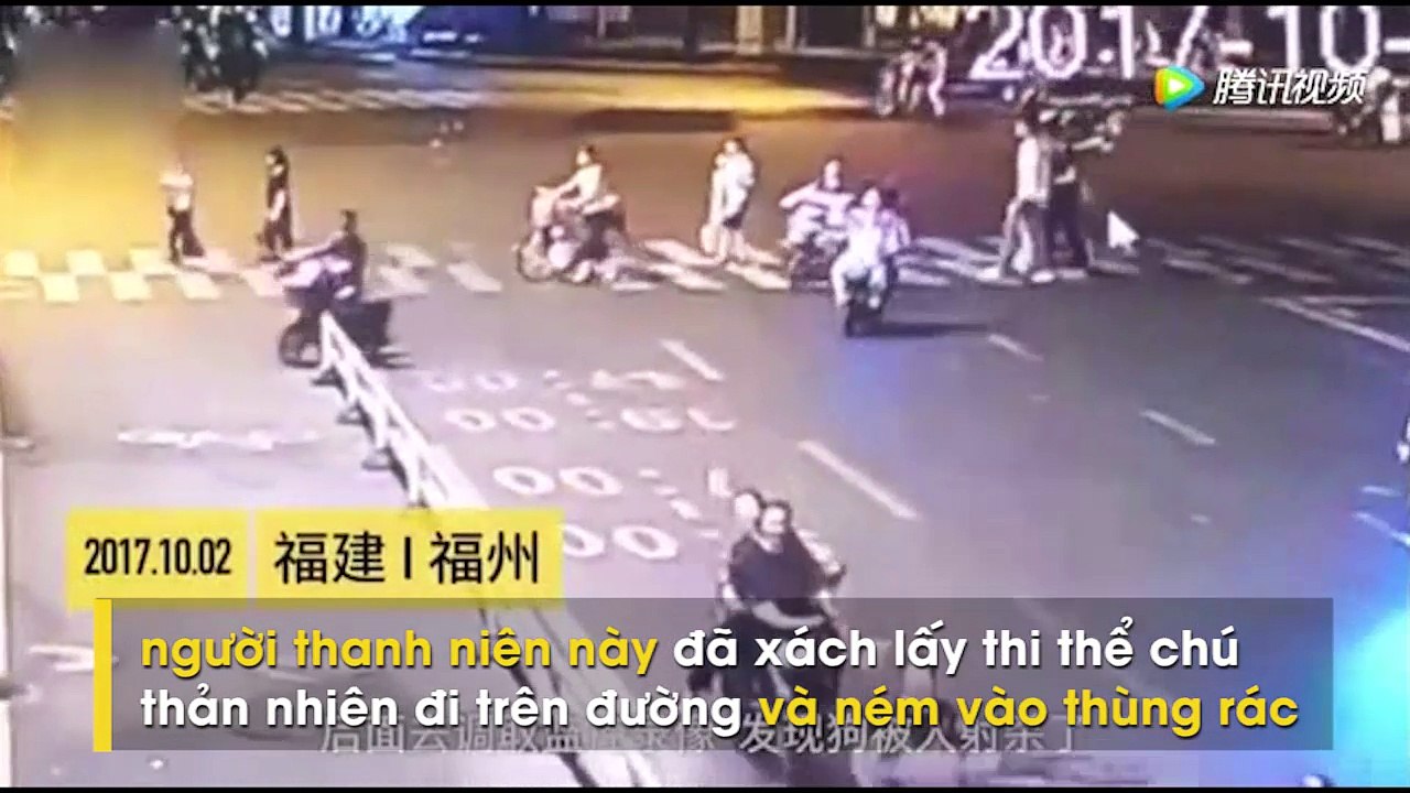 Cư dân mạng phẫn nộ trước cảnh tượng nam thanh dùng cung tên bắn chết chó ở Trung Quốc