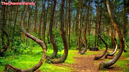 15 Lugares Más Espeluznantes de la Tierra