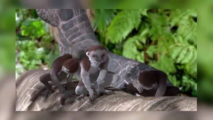 Top Ten Dinosaur Movies of All Time - 100 Years of Dinosaurs in Film