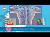 Vücut sıvısında neden kan olur? - Sağlıklı Mutlu Huzurlu 123. Bölüm - atv