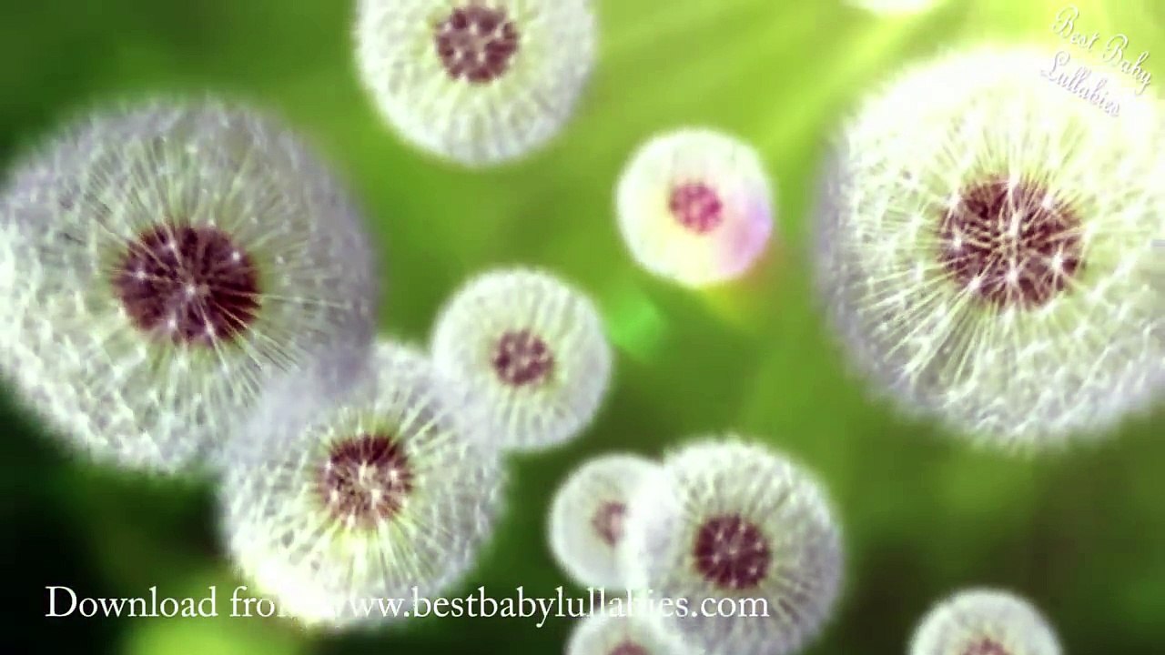 Twinkle Twinkle Little Star Lyrics Songs Lullaby For Baby Sleep -Relax Baby Music Lullabies