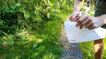 Honing vs. Sharpening