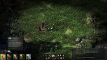 Pillars of Eternity - Priest Class