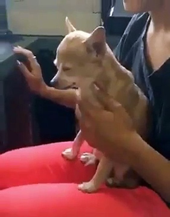 cuteeee