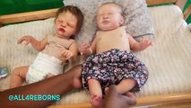 Reborn Babies MORNING ROUTINE! Real Life Baby Dolls Drink Milk Change Diaper Feeding Video!