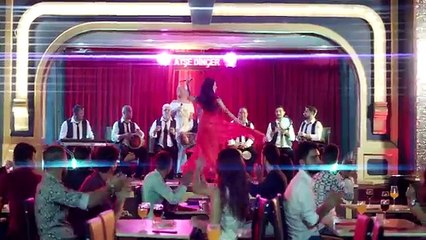 Ayşe Dinçer - Erik Dalı