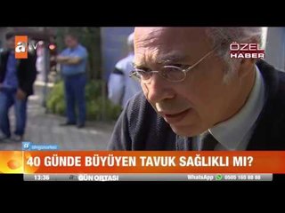 40 günde büyüyen tavuk sağlıklı mı? - atv Gün Ortası