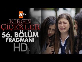 Kırgın Çiçekler 56. Bölüm Fragmanı - atv