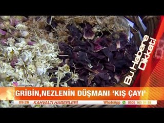 Gribin nezlenin düşmanı "Kış Çayı" - atv Kahvaltı Haberleri