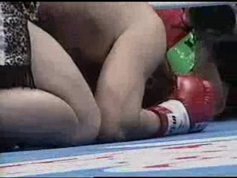 Mirko Crocop vs Musashi 1999