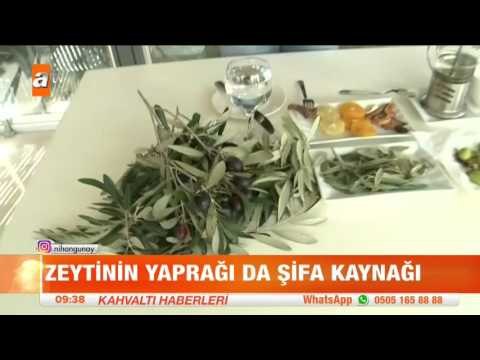Zeytin yaprağı çayı nasıl yapılır? - atv Kahvaltı Haberleri