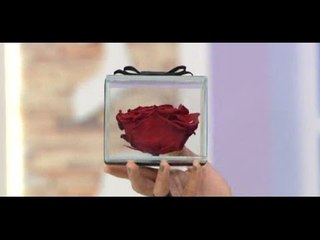 Mustafa'yı şaşırtan hediye - Esra Erol'da 277. Bölüm - atv