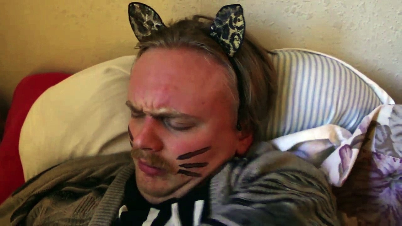 Les chats à 3 heures du matin... Vidéo Dailymotion
