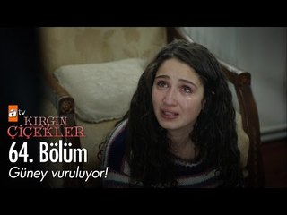Güney vuruluyor! - Kırgın Çiçekler 64. Bölüm - atv