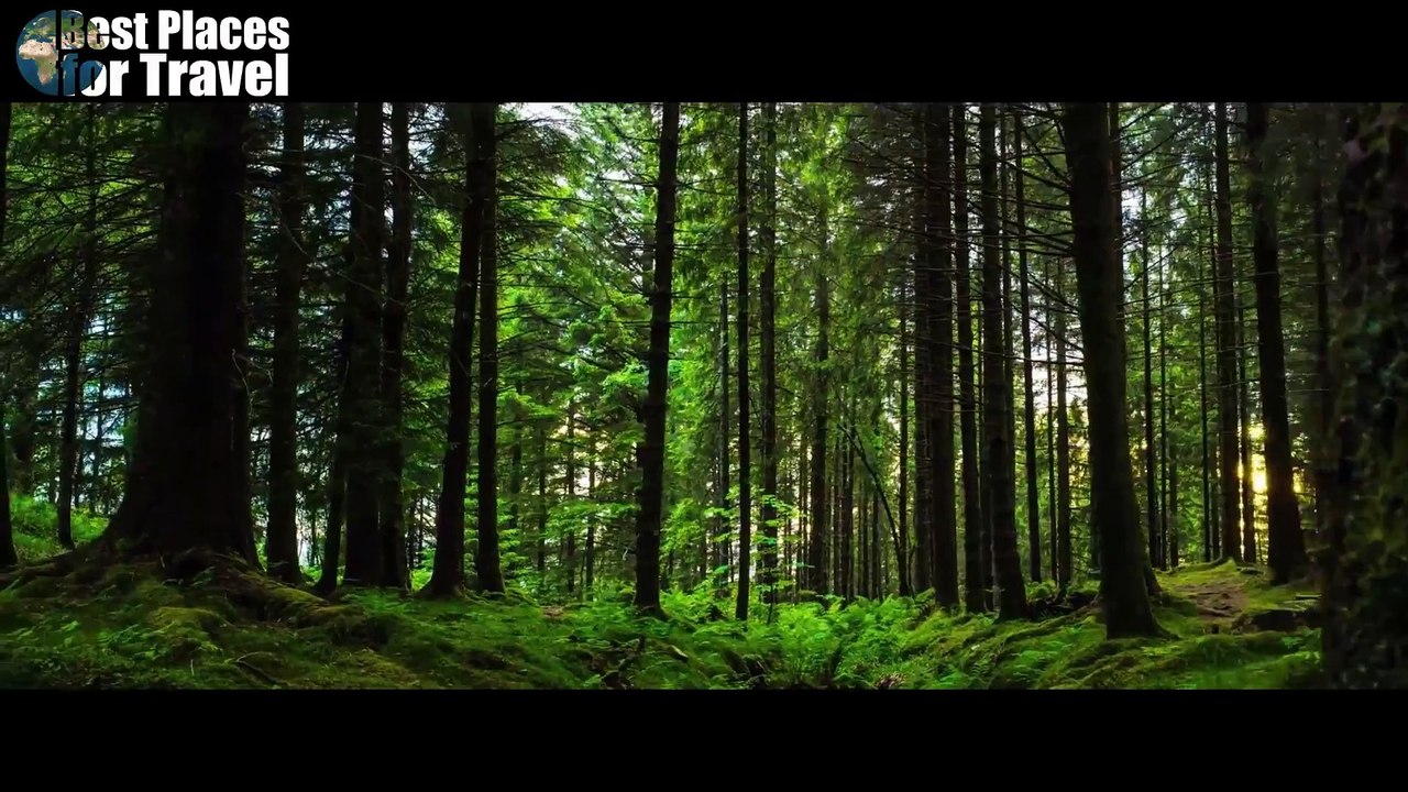 Bergen | Best Places for Travel