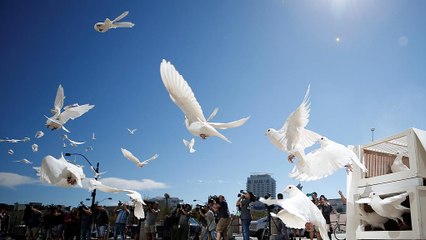 بنس يزور لاس فيغاس المكلومة