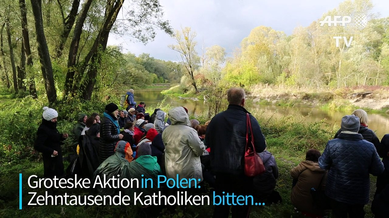 Massengebet in Polen - Kritik an "islamophober Aktion"