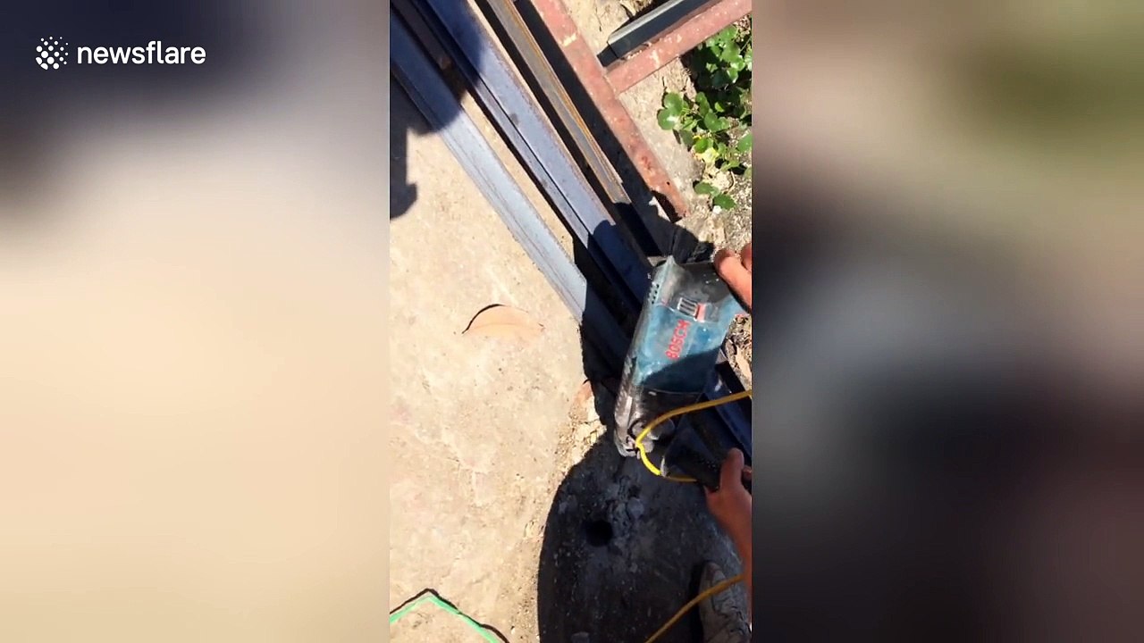 Locals rescue cute puppy which was stuck under ground