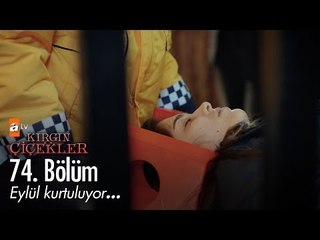 Eylül bulunuyor... - Kırgın Çiçekler 74. Bölüm - atv