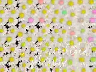 Tori Amos - Mr. Zebra