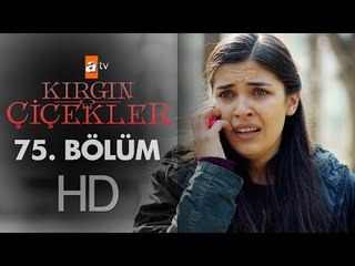 Kırgın Çiçekler 75. Bölüm - atv