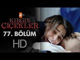 Kırgın Çiçekler 77. Bölüm - atv