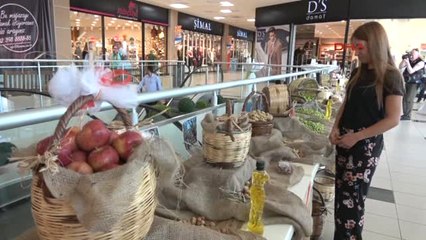 Balıkesir Zeytinyağları Hasır Sepetlerle Hediye Edilecek