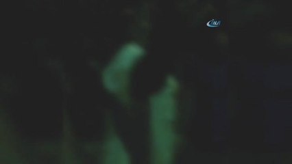 Antalya'da Sokak Köpeğine İstismar İddiasında Linç Girişimi