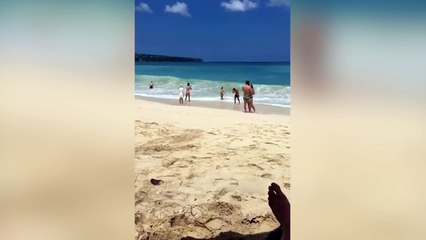 Celle-ci, elle ne l'a pas vu arriver !