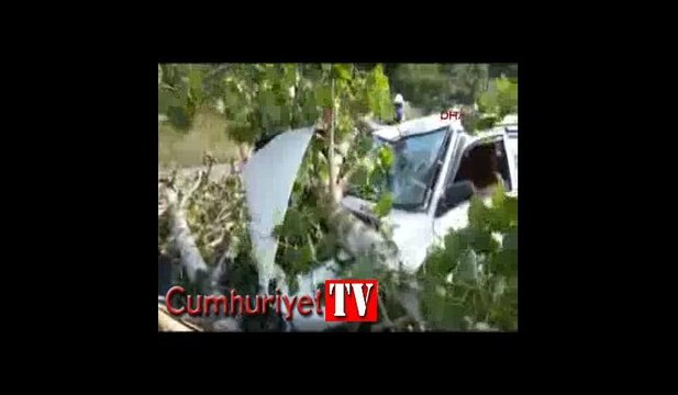 Seyir halindeki otomobilin üstüne ağaç düştü: 1 ağır yaralı