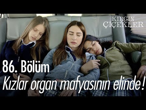 Kızlar organ mafyasının elinde! - Kırgın Çiçekler 86. Bölüm - atv