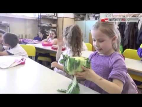TG 22.01.15 Obesità, diminuiscono i bambini in sovrappeso