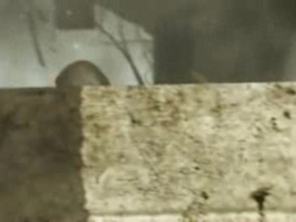 Official Frontlines Fuel of War THQ Kaos Studios