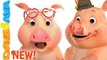 This Little Piggy Nursery Rhymes - Nursery Rhymes and Kids Songs from Dave and Ava
