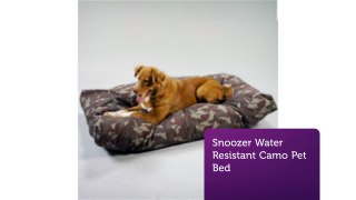 Call @ 877-876-5996 to Buy Snoozer Dog Bed at Snoozer Pet Beds