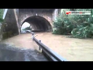 TG 13.11.14 Maltempo, una bomba d'acqua paralizza Brindisi