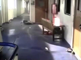 TG 05.01.14 Norman Atlantic, difficile l'ispezione degli investigatori